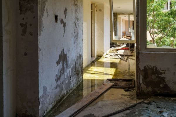 Water Removal Service in Houston