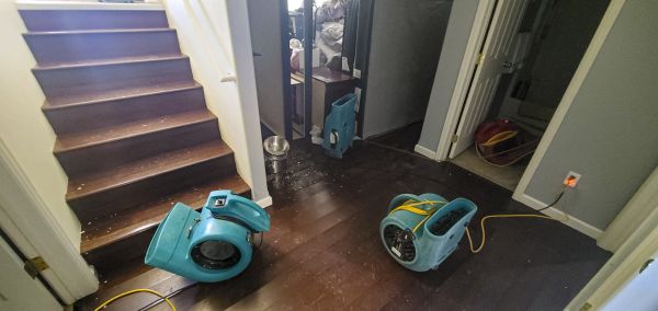 Water Damage Remediation in Houston