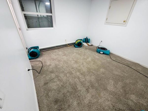 Cost of Flood Restoration Service in Houston
