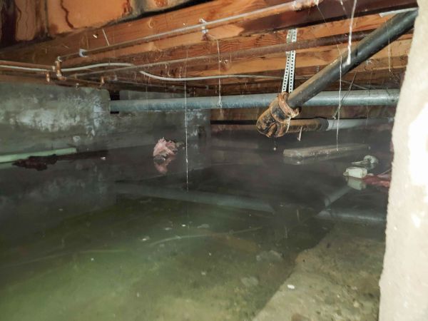 Cost of Crawl Space Drying in Houston