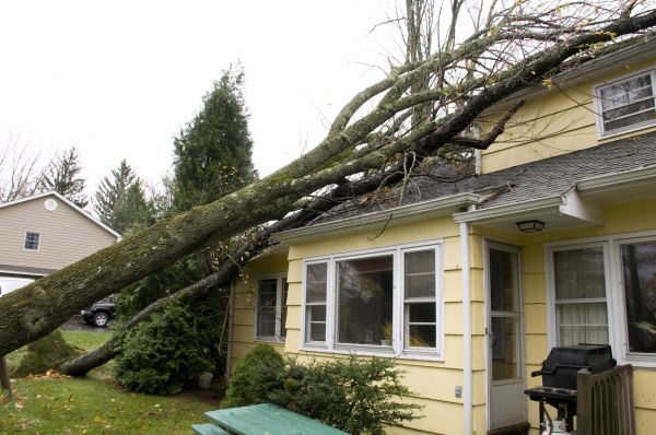 Hurricane Damage Repair in Houston